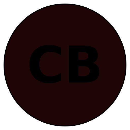 ChicBridal